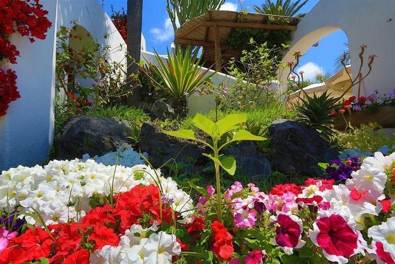 Ischia San Nicola Hotel Forio (Isola d'Ischia)