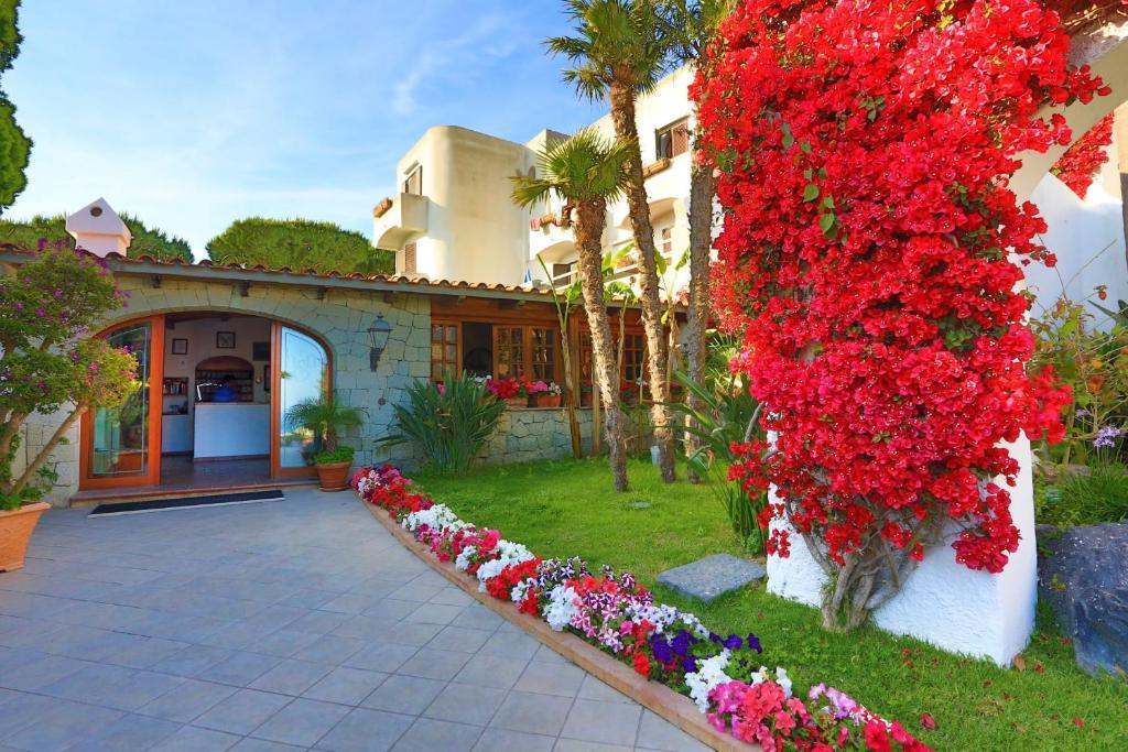 Hotel Ischia San Nicola 3*